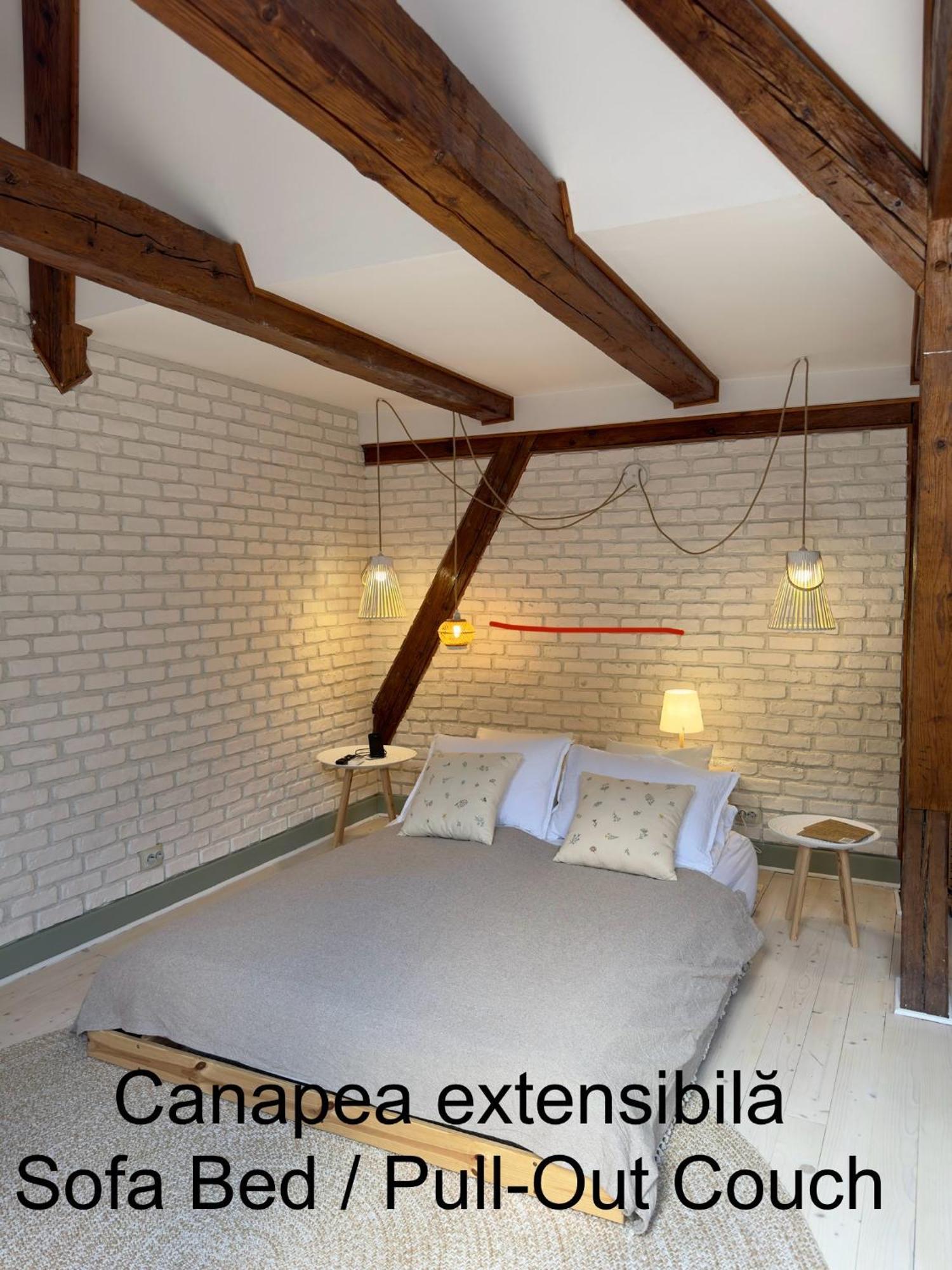 Belle Vista Loft Apartment Brasov Exterior photo